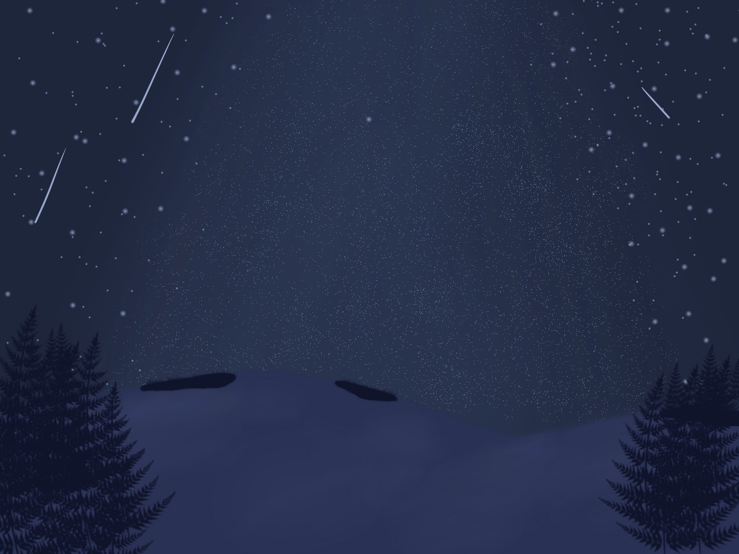 Arctic Night | Minimalist Winter Vector Background