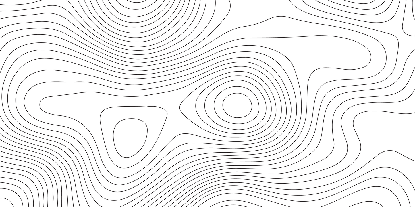 Thin black contour lines spiral and flow across white