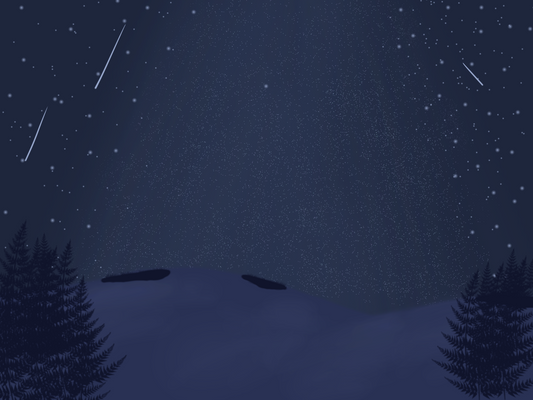 Arctic Night | Minimalist Winter Vector Background